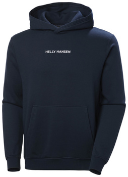 Bluza HELLY HANSEN CORE GRAPHIC HOODIE 53924 598