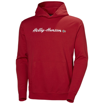 Bluza męska HELLY HANSEN CORE GRAPHIC SWEAT HOODIE 53924 163