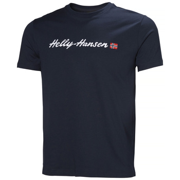 Koszulka męska HELLY HANSEN CORE GRAPHIC T 2.0 54599 597